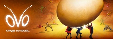 Post image for Los Angeles Theater Review: OVO (Cirque du Soleil)