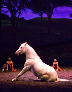 Tom Chaits' Stage and Cinema review of Cavalia's ODYSSEO in Burbank